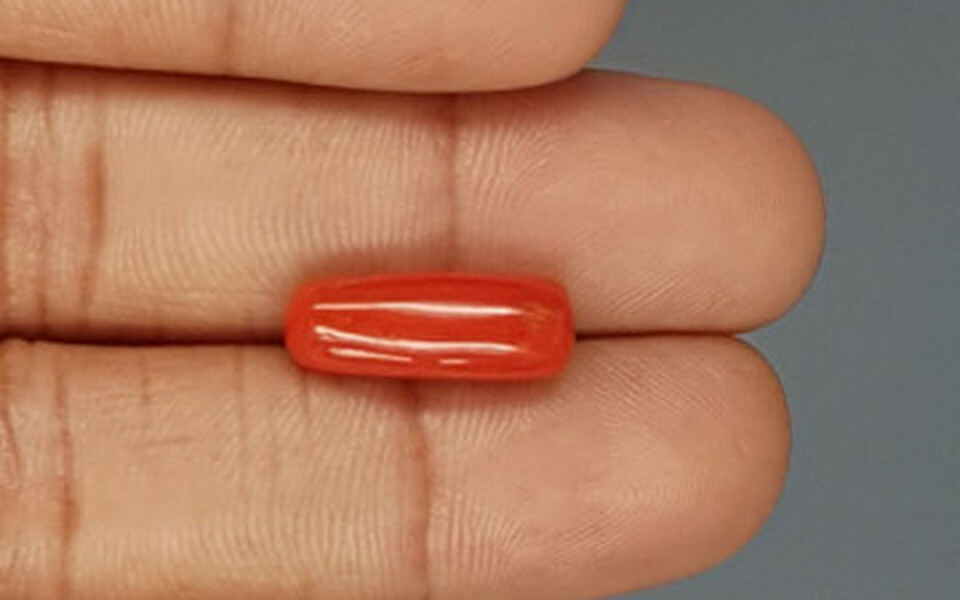 Italian Red Coral - 6.5 Carat Prime Quality CC-5776