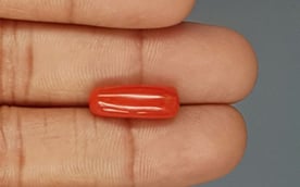 Italian Red Coral - 6.5 Carat Prime Quality CC-5776
