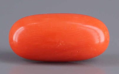 Italian Red Coral - 6.52 Carat Limited Quality CC-5561