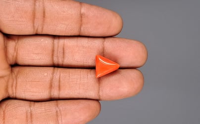 Italian Red Coral - 6.63 Carat Prime Quality TC-5012