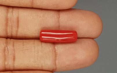 Italian Red Coral - 6.72 Carat Prime Quality CC-5769