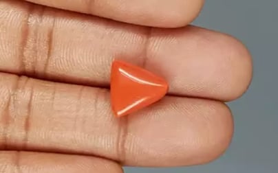 Italian Red Coral - 6.73 Carat Limited Quality TC-5302