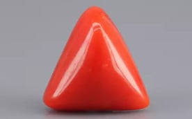 Italian Red Coral - 6.74 Carat Limited Quality TC-5305