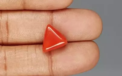 Italian Red Coral - 6.75 Carat Limited Quality TC-5303