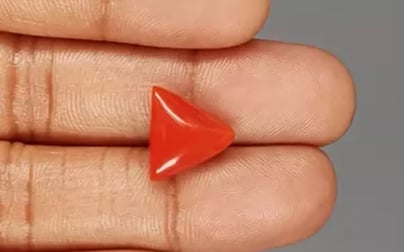 Italian Red Coral - 6.77 Carat Limited Quality TC-5296