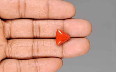 Italian Red Coral - 6.84 Carat Prime Quality TC-5424