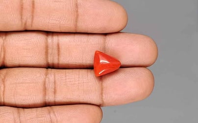 Italian Red Coral - 6.87 Carat Limited Quality TC-5429
