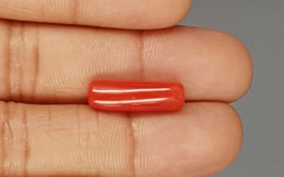 Italian Red Coral - 6.93 Carat Prime Quality CC-5774