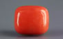 Italian Red Coral - 6.98 Carat Rare Quality CC-5867