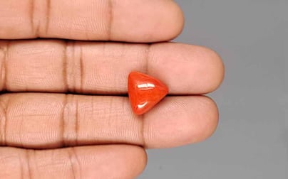 Italian Red Coral - 7.06 Carat Rare Quality TC-5444