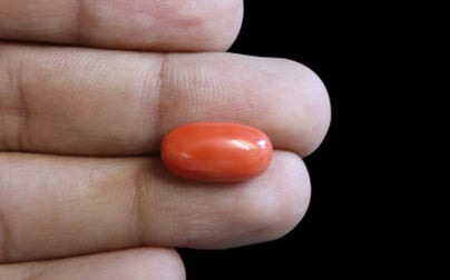 Italian Red Coral - 7.14 Carat Rare Quality CC-5690