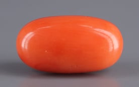 Italian Red Coral - 7.14 Carat Rare Quality CC-5690