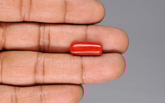 Italian Red Coral - 7.38 Carat Prime Quality CC-5920