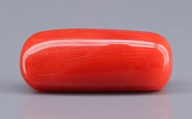 Italian Red Coral - 7.38 Carat Prime Quality CC-5920