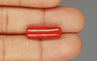 Italian Red Coral - 7.47 Carat Prime Quality CC-5780