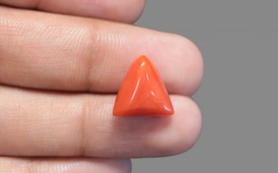 Italian Red Coral - 7.48 Carat Prime Quality TC-5170