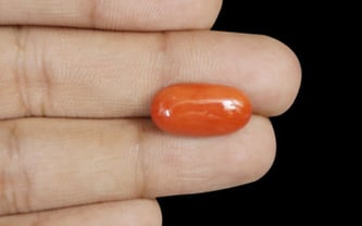 Italian Red Coral - 7.48 Carat Rare Quality CC-5708