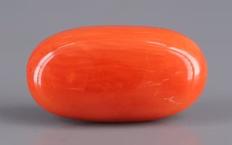 Italian Red Coral - 7.48 Carat Rare Quality CC-5708