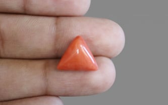 Italian Red Coral - 7.51 Carat Limited Quality TC-5231