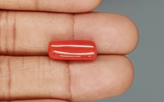 Italian Red Coral - 7.57 Carat Limited Quality CC-5727