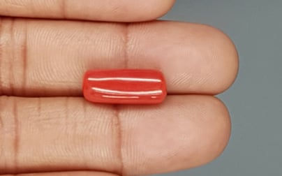 Italian Red Coral - 7.57 Carat Limited Quality CC-5727