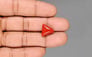 Italian Red Coral - 7.57 Carat Limited Quality TC-5456