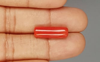 Italian Red Coral - 7.66 Carat Prime Quality CC-5772