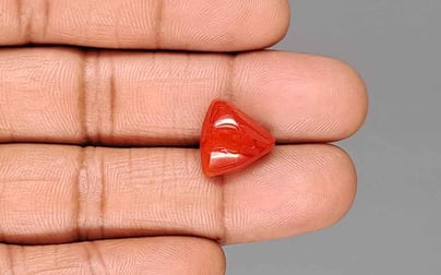 Italian Red Coral - 7.68 Carat Prime Quality TC-5430