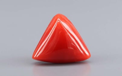 Italian Red Coral - 7.68 Carat Rare Quality TC-5413