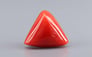 Italian Red Coral - 7.68 Carat Rare Quality TC-5413