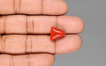 Italian Red Coral - 7.70 Carat Rare Quality TC-5426