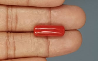 Italian Red Coral - 7.74 Carat Prime Quality CC-5771