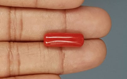 Italian Red Coral - 7.74 Carat Prime Quality CC-5771