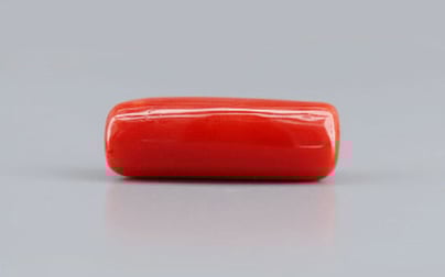 Italian Red Coral - 7.74 Carat Prime Quality CC-5771