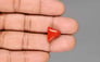 Italian Red Coral - 7.75 Carat Prime Quality TC-5455