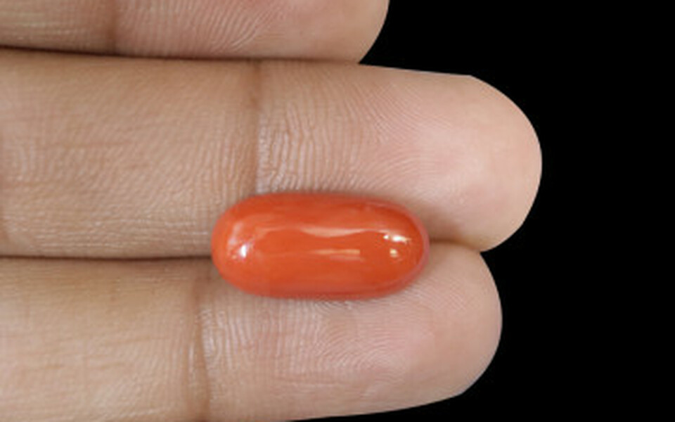 Italian Red Coral - 7.8 Carat Rare Quality CC-5710