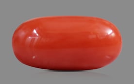 Italian Red Coral - 7.8 Carat Rare Quality CC-5710