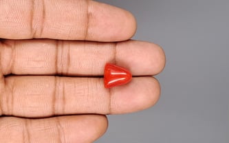 Italian Red Coral - 7.86 Carat Limited Quality TC-5396