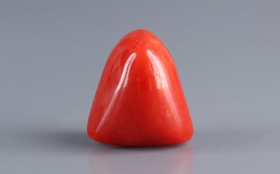 Italian Red Coral - 7.86 Carat Limited Quality TC-5396