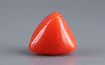 Italian Red Coral - 7.88 Carat Limited Quality TC-5014