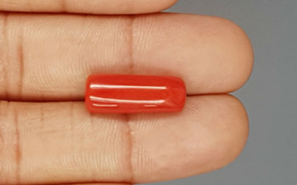 Italian Red Coral - 7.89 Carat Prime Quality CC-5778