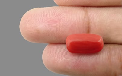 Italian Red Coral - 7.9 Carat Limited Quality CC-5508