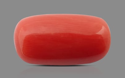 Italian Red Coral - 7.9 Carat Limited Quality CC-5508