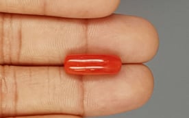 Italian Red Coral - 7.9 Carat Prime Quality CC-5779