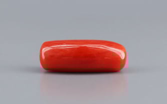 Italian Red Coral - 7.9 Carat Prime Quality CC-5779