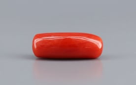 Italian Red Coral - 7.9 Carat Prime Quality CC-5779