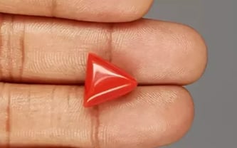 Italian Red Coral - 7.94 Carat Limited Quality TC-5306