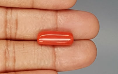 Italian Red Coral - 8.03 Carat Prime Quality CC-5784