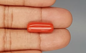 Italian Red Coral - 8.03 Carat Prime Quality CC-5784