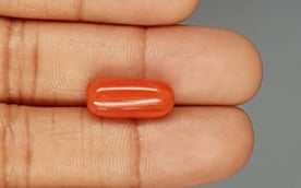 Italian Red Coral - 8.12 Carat Limited Quality CC-5726